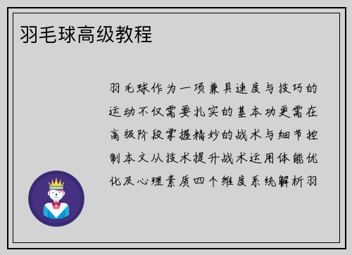 羽毛球高级教程